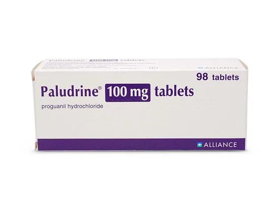 A box of Paludrine® 100 mg tablets containing 98 proguanil hydrochloride tablets is displayed